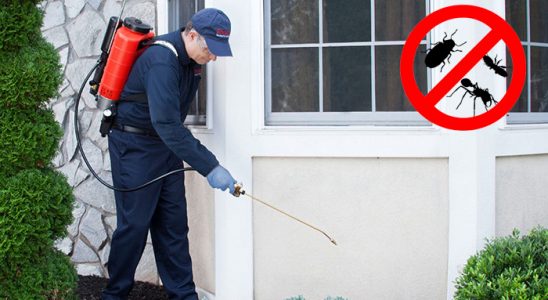 Yahşihan Dezenfeksiyon böcek ilaçlama ve haşere kontrolü — ilaclama-tr.com